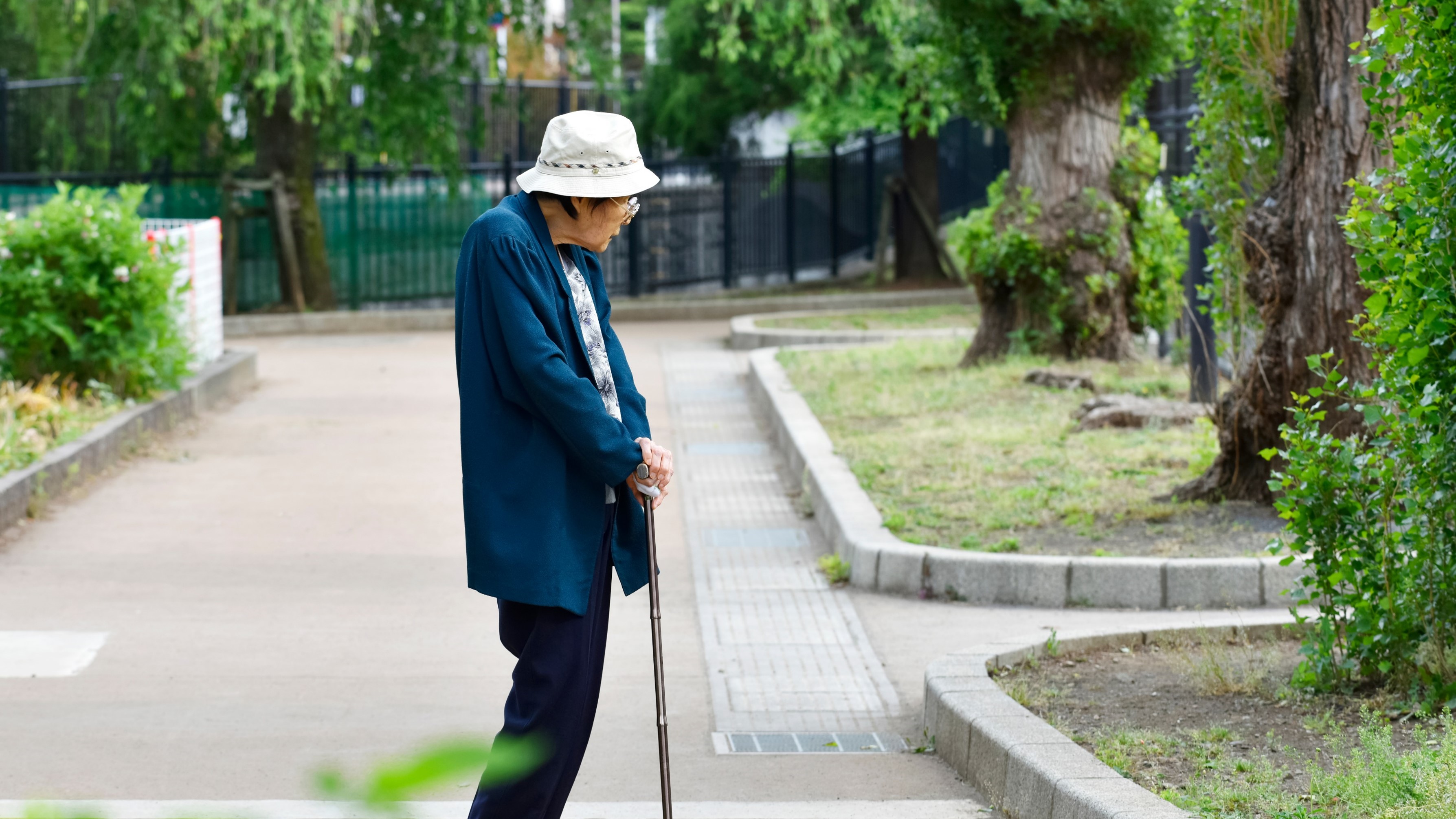 認知症基本法とは？わかりやすく解説